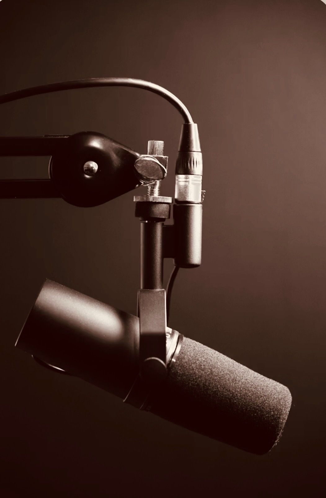 Testimonial Talks podcast studio microphone